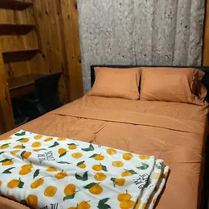 https://terrace-guest-house.hotelstampa.org